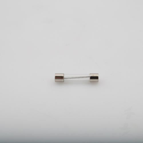 Frymaster 8071597 SLO-BLOW 3 AMP FUSE