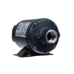 Pitco PP10416 Motor; Filter 115/230V 50/60HZ.