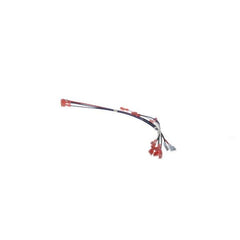 Bunn 27791.0002 WIRING HARN,XFMR-R 120/240(SH