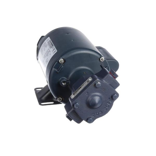 Pitco PP10101 Pump; Motor Assy.New Style 1/3HP 115/230V 50.