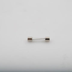 Frymaster 8071597 SLO-BLOW 3 AMP FUSE