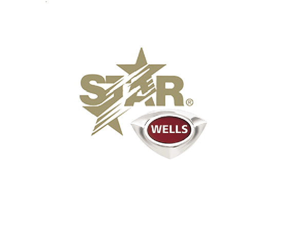 Star / Wells PS-WL0155 TIMER RETROFIT KIT