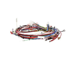 Bunn 33634.0001 WIRING HARNESS,MAIN(DUAL SH)