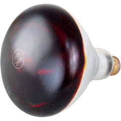 Generic ASC 3840-3104 HEAT LAMP 250 W 120V INFRARED COATED 250R40/10