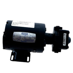 Pitco 60130808 Pump & Motor;8GPM/.3HP 104/208 V SE