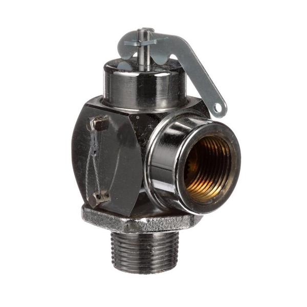 Groen Z005587 VALVE SAFETY 50 PSI-3/4"